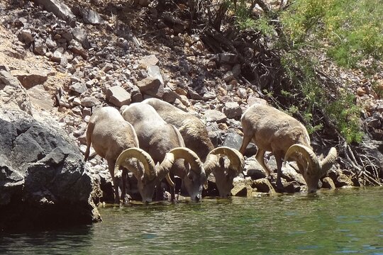 Tour image 6